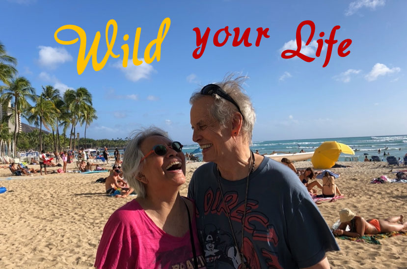 Wild Your Life with Elsha and Mark W Travis writing group